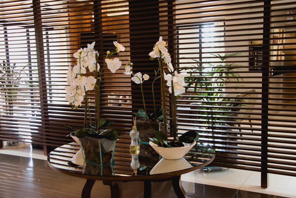 Class Hotel ألفيناس المظهر الخارجي الصورة