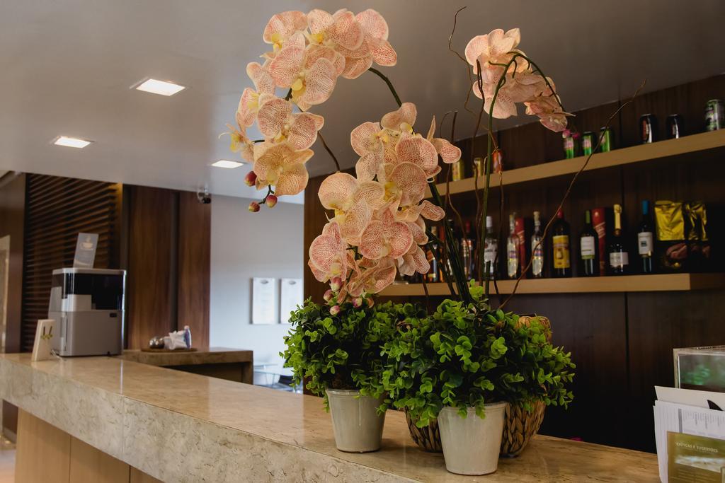 Class Hotel ألفيناس المظهر الخارجي الصورة